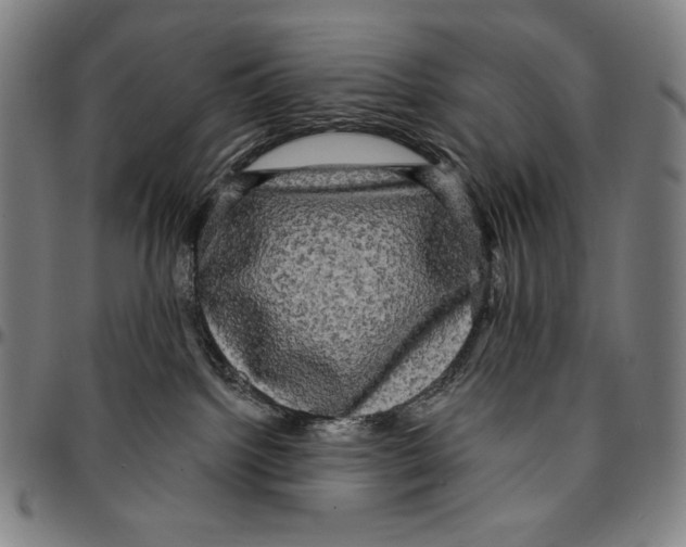 X0000095110092200801041210