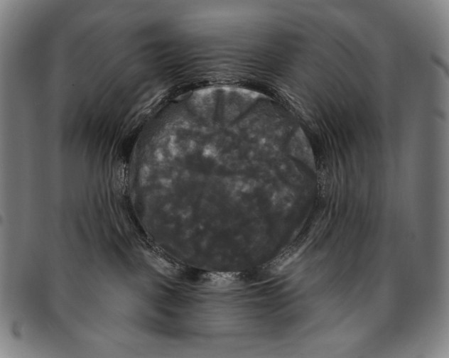 X0000095110093200801041210