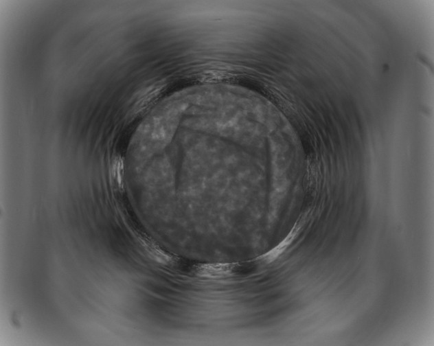 X0000095110094200801041210