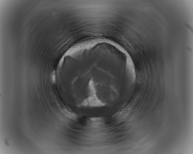X0000095110095200801041210