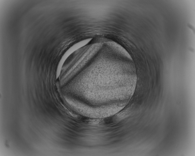 X0000095110096200801041210