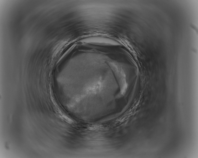 X0000095110097200801041210