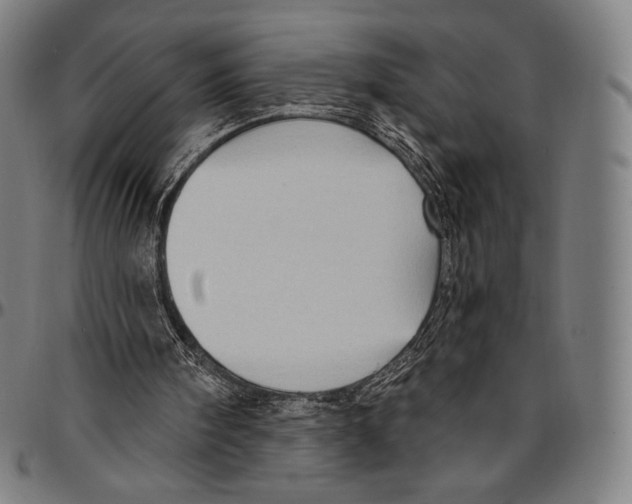 X0000095110098200801041210