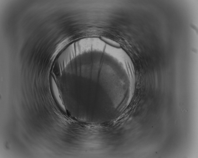 X0000095110099200801041210