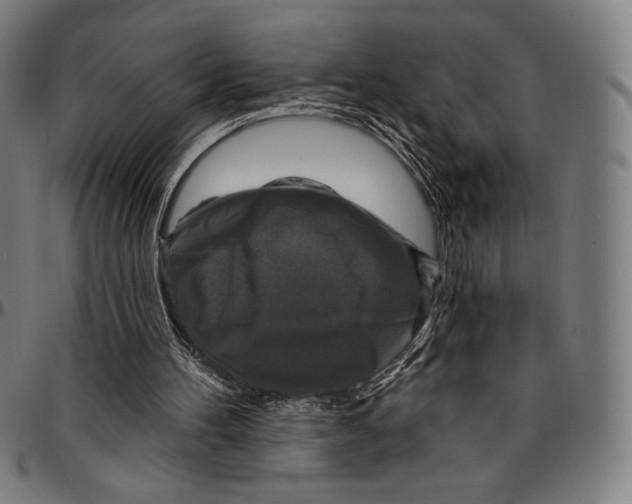 X0000095110100200801041210