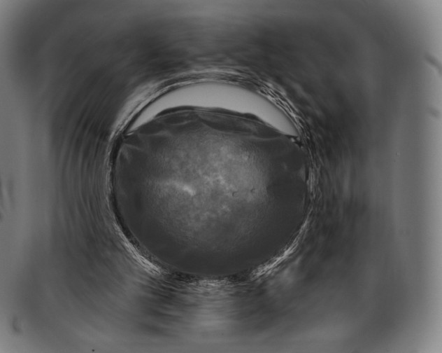 X0000095110101200801041210