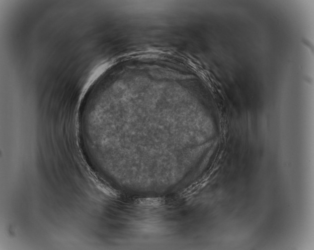 X0000095110102200801041210