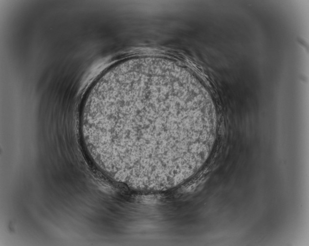 X0000095110103200801041209
