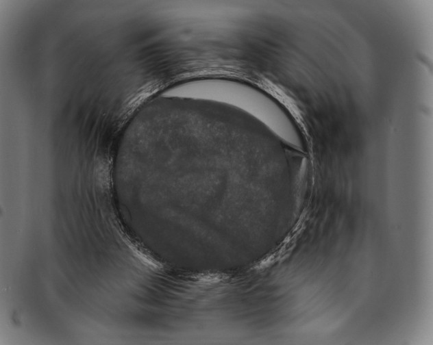 X0000095110105200801041209