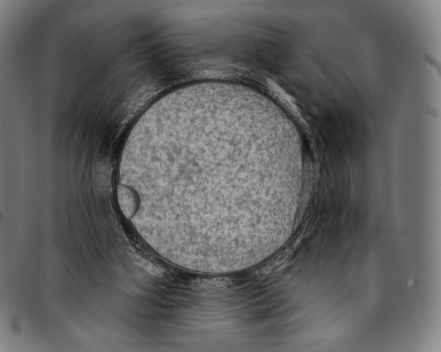 X0000095110106200801041209