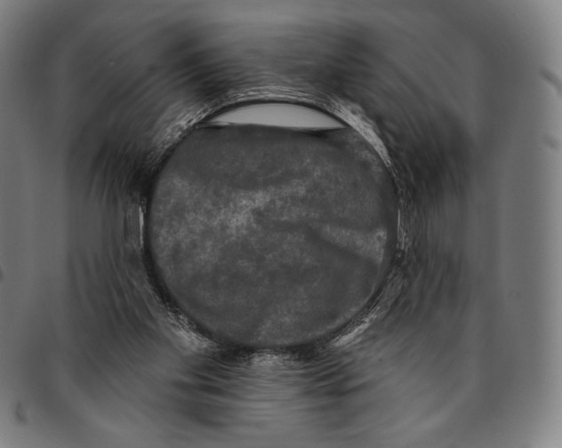 X0000095110109200801041209