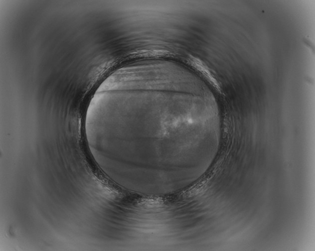 X0000095110110200801041209