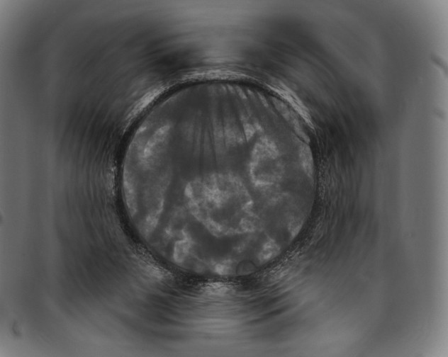 X0000095110111200801041209