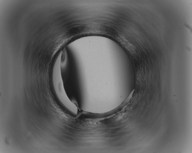 X0000095110112200801041209