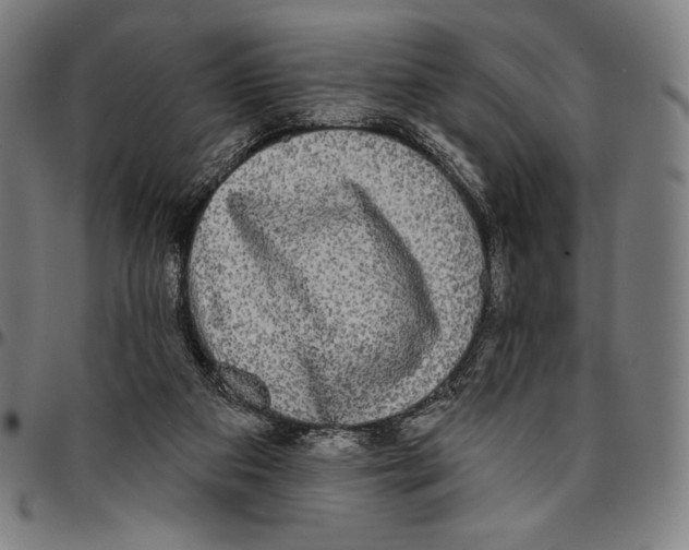 X0000095110113200801041209