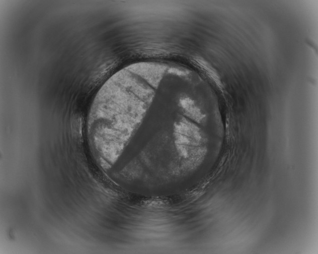 X0000095110115200801041209