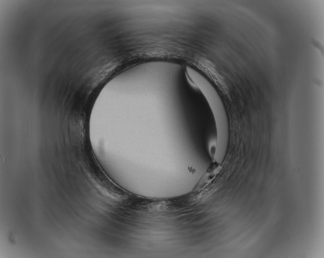 X0000095110116200801041209