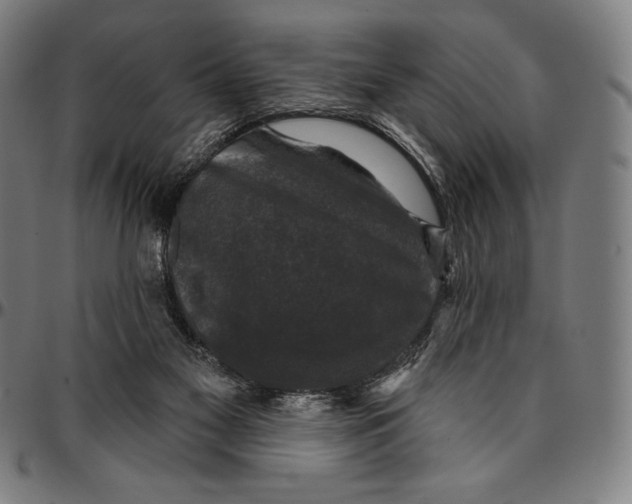 X0000095110117200801041209