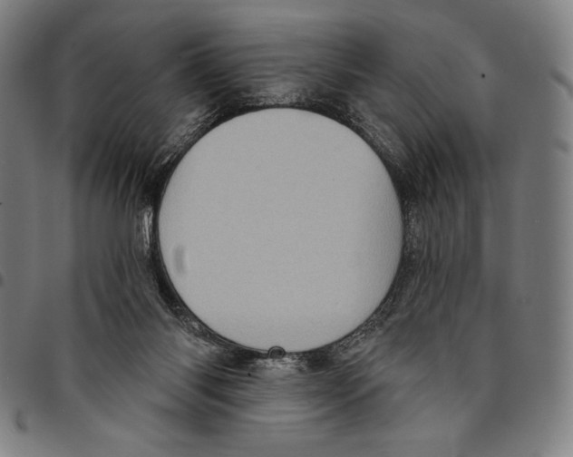 X0000095110118200801041209