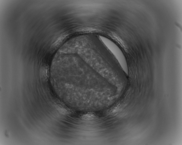 X0000095110119200801041209