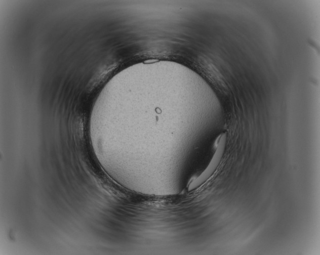 X0000095110120200801041209