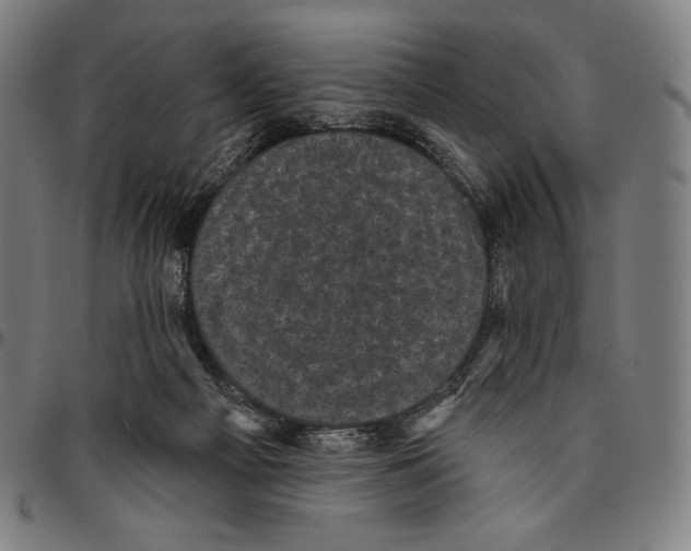 X0000095110121200801041209