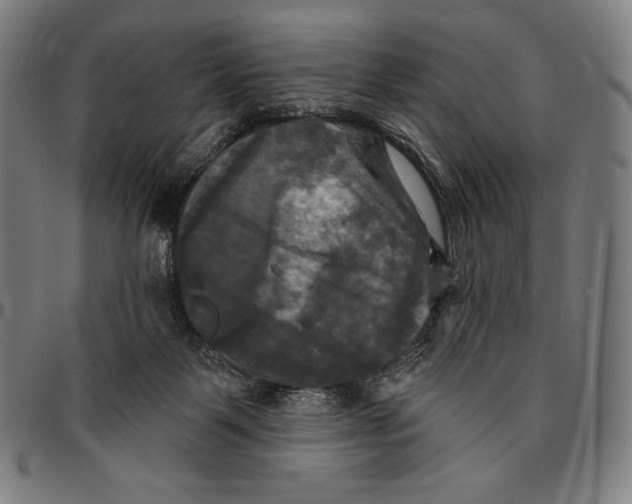 X0000095110123200801041209