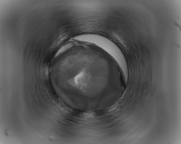 X0000095110124200801041209