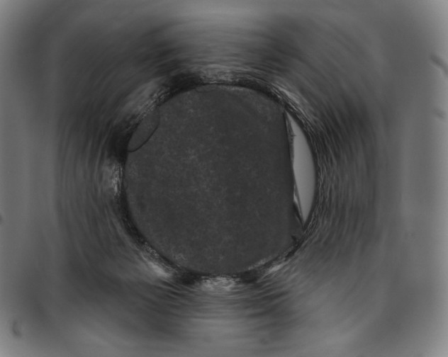X0000095110125200801041209