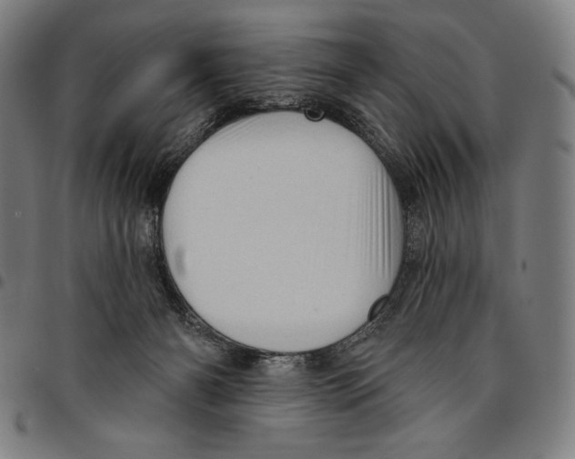 X0000095110126200801041209