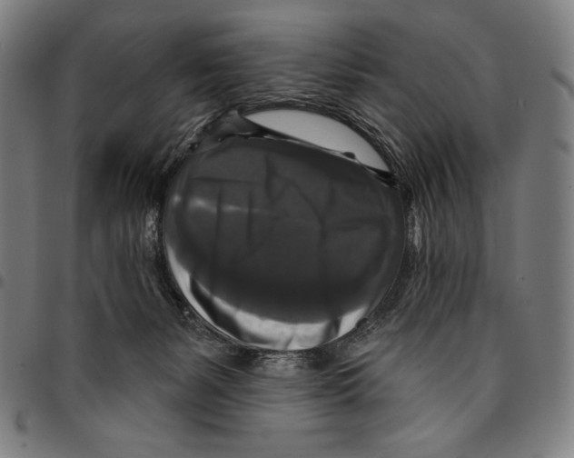 X0000095110127200801041209