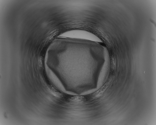 X0000095110128200801041209