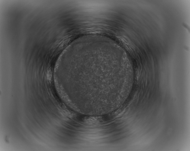 X0000095110129200801041209