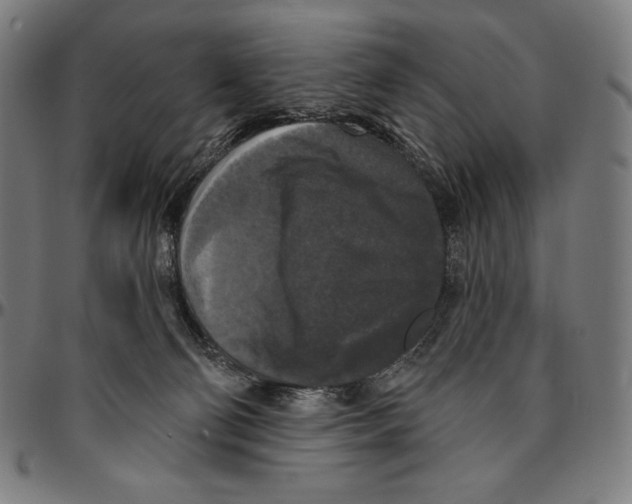 X0000095110130200801041209