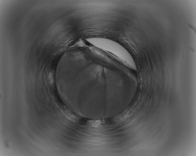X0000095110131200801041209