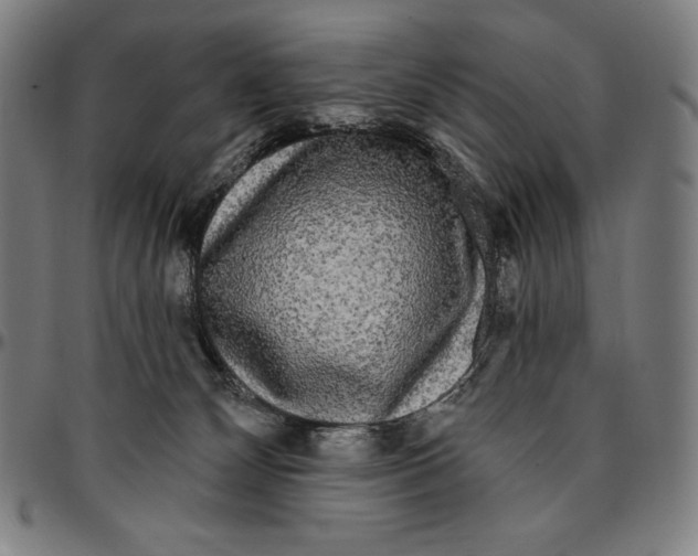 X0000095110132200801041209