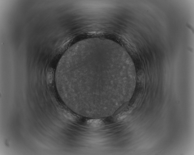 X0000095110133200801041209