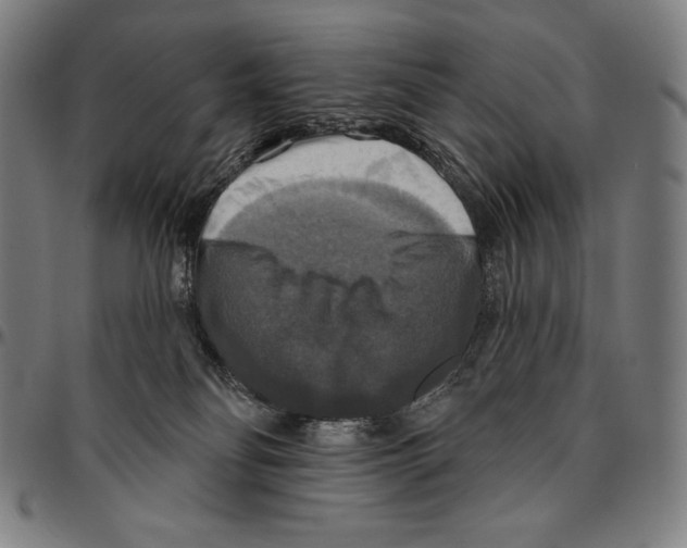 X0000095110134200801041209