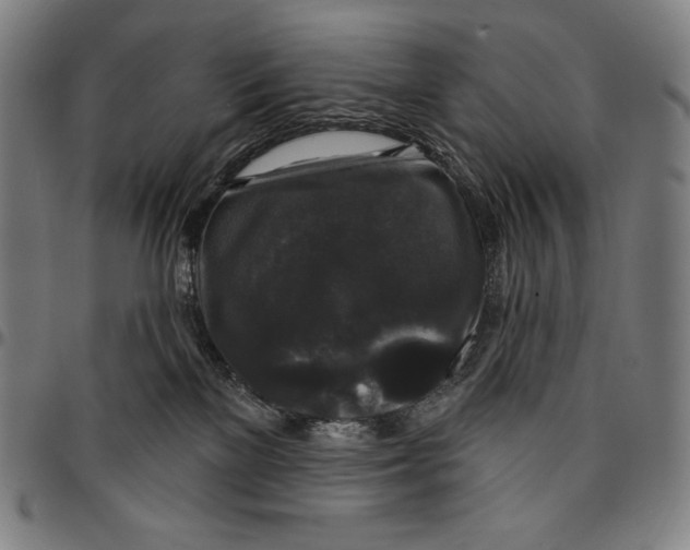 X0000095110137200801041209
