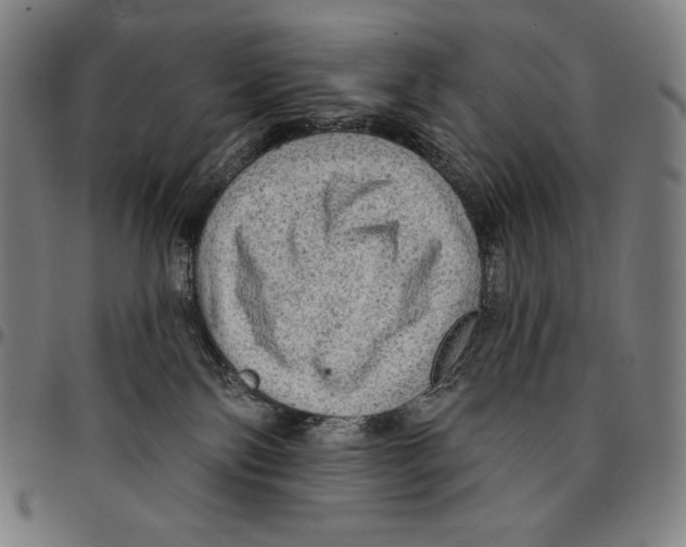 X0000095110138200801041209