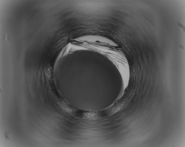X0000095110139200801041209
