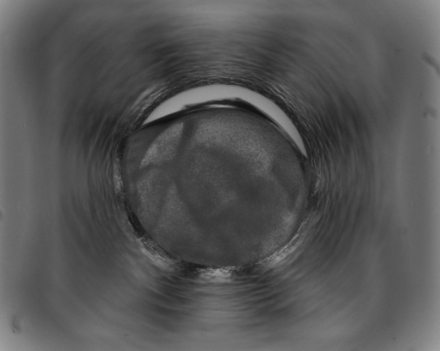 X0000095110140200801041209
