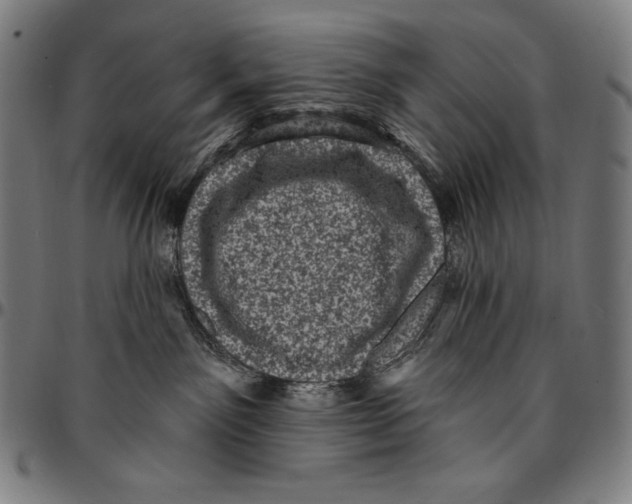X0000095110141200801041209