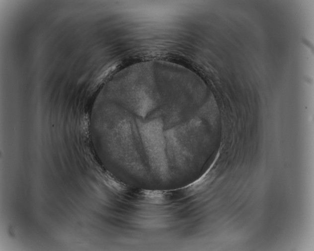 X0000095110144200801041209