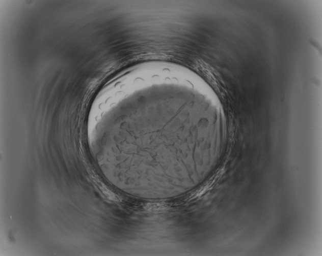 X0000095110145200801041208