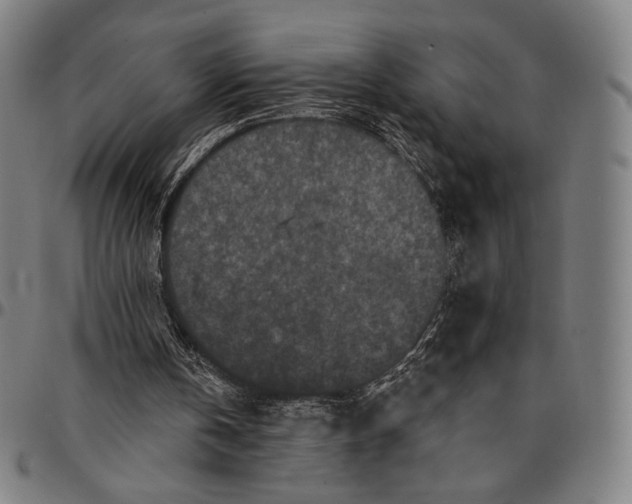 X0000095110146200801041208