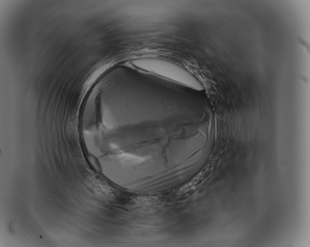 X0000095110147200801041208