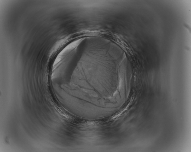 X0000095110149200801041208