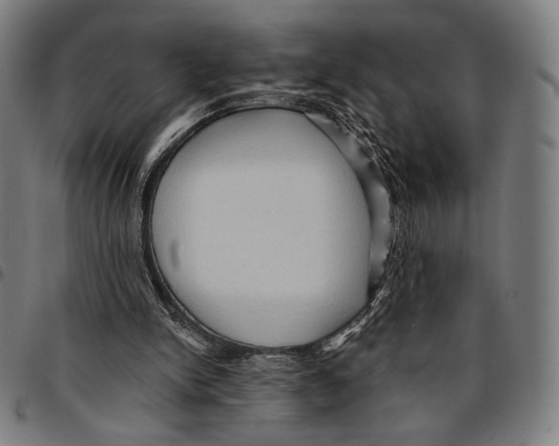X0000095110150200801041208