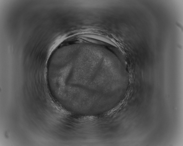 X0000095110152200801041208